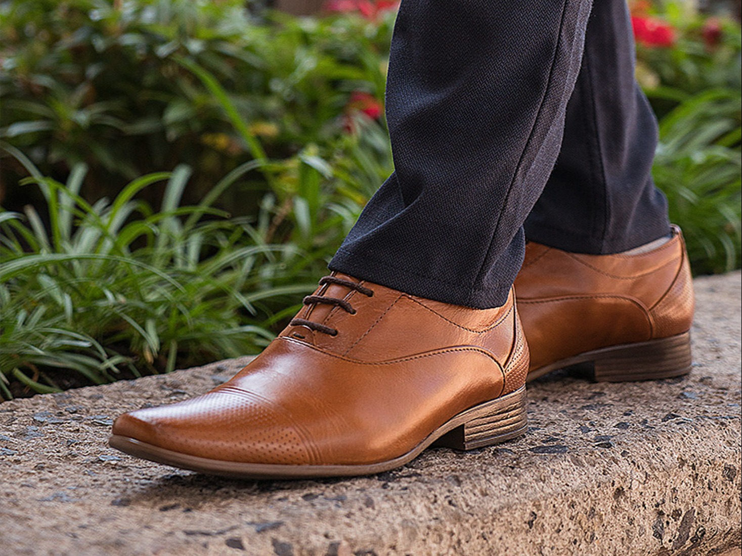 Close-up product photography of dress shoes on a wall with plants in the background