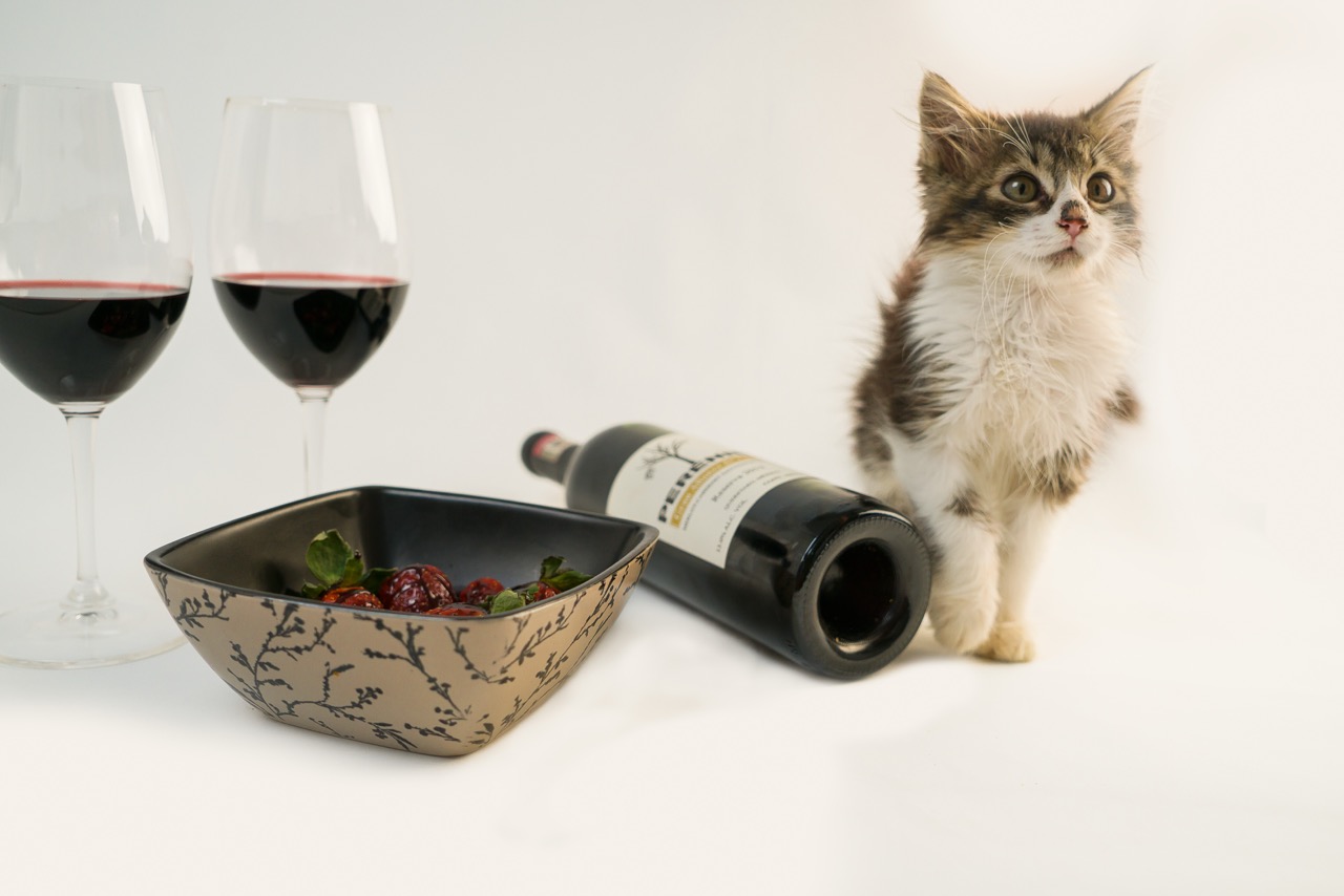 Red wine bottle with strawberries, two wine glasses, and a curious cat on white background