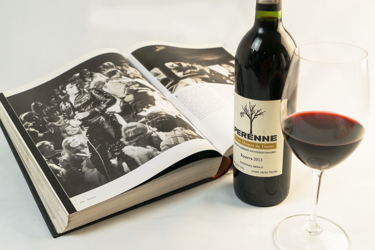 Red wine bottle and glass paired with an open book on white background