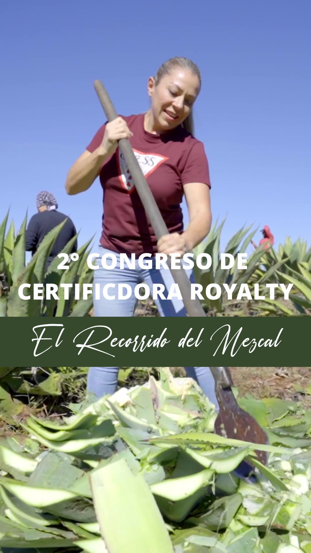 Dynamic 30-second promotional reel inviting viewers to the Oaxaca Mezcal Course, featuring visuals of mezcal production, tasting, and cultural highlights.