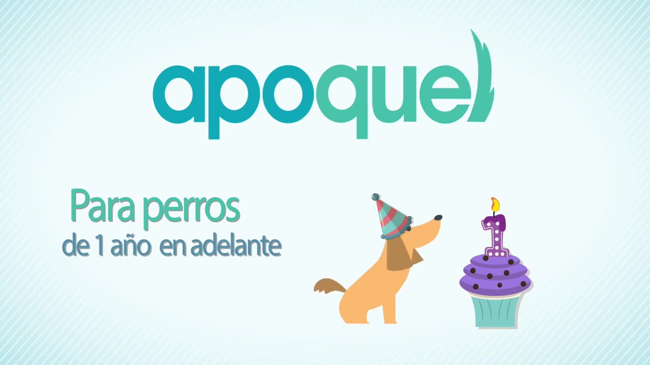 Promotional veterinary video presenting Apoquel’s benefits for dogs with itching conditions in a clear and engaging way. Zoetis