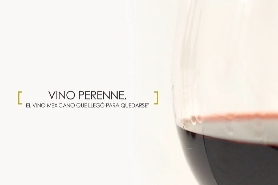 Close-up of red wine glass with wine legs forming inside the glass on white background