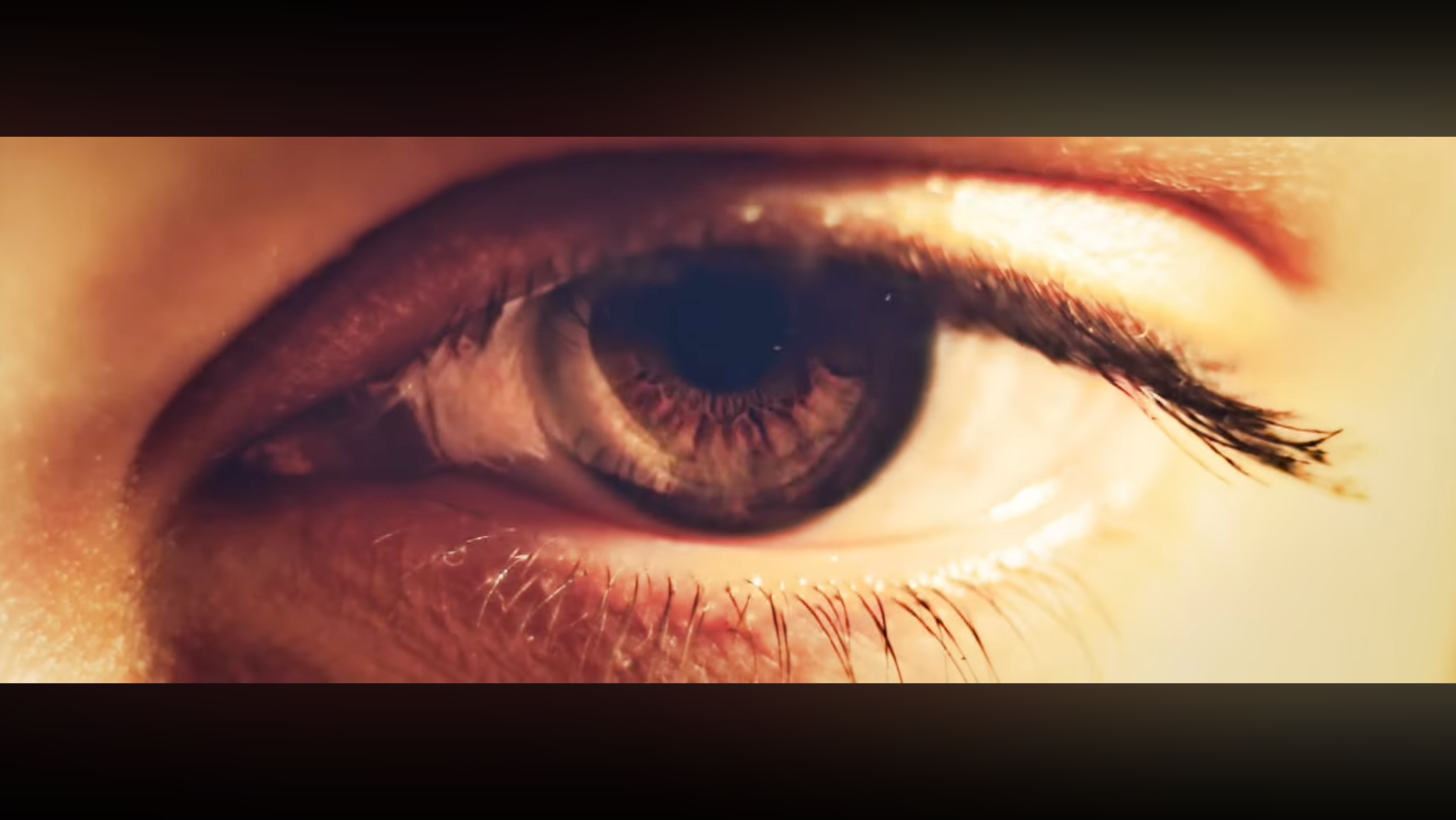 Promotional video showcasing large-scale exhibition stands using packaging as a visual analogy